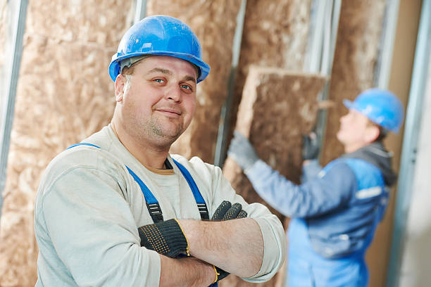 Best Insulation Maintenance and Repair in Lake Village, AR